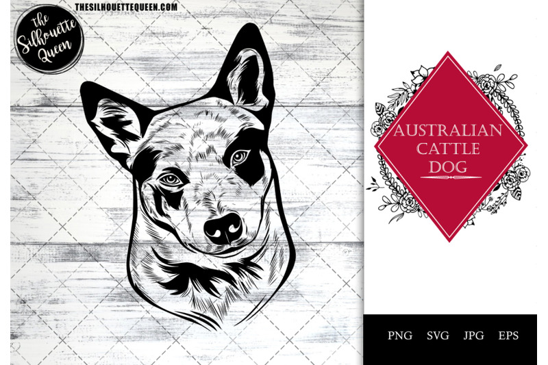 australian-cattle-dog-dog-funny-head-vector