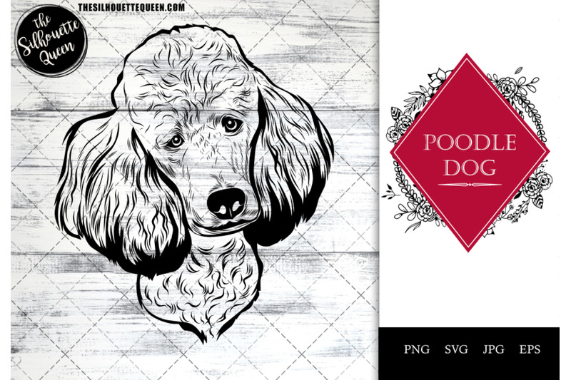 poodle-dog-funny-head-vector