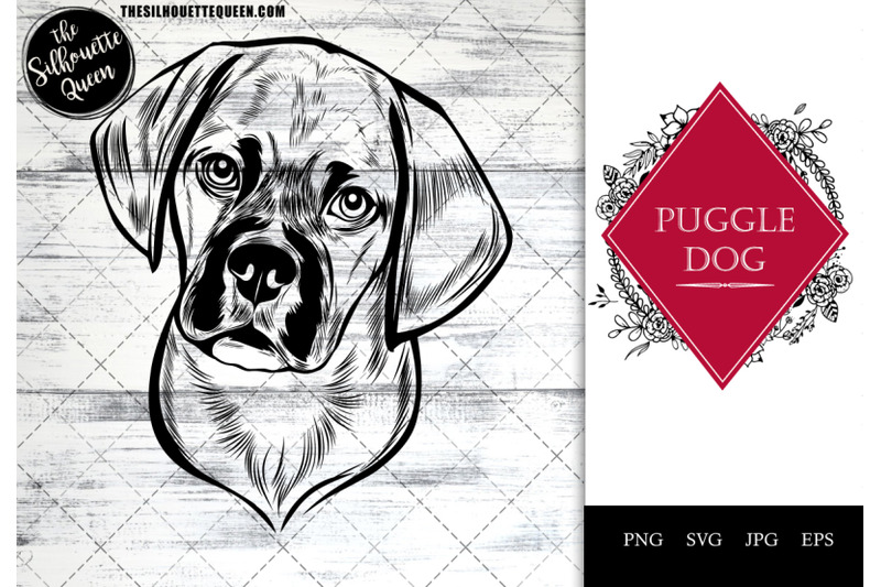 puggle-dog-funny-head-vector