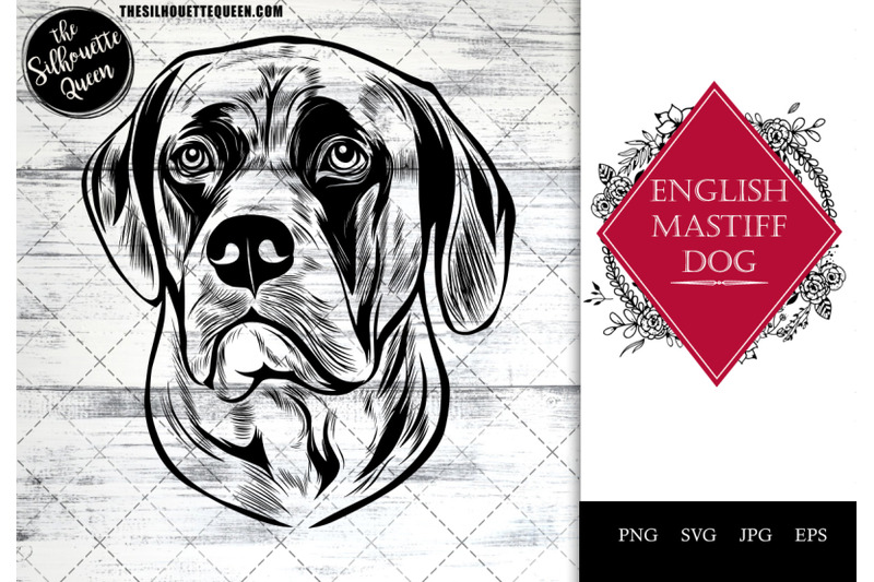 english-mastiff-dog-funny-head-vector