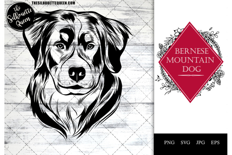 bernese-mountain-dog-dog-funny-head-vector