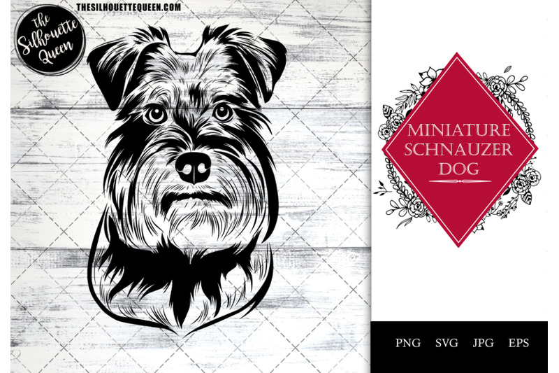 miniature-schnauzer-dog-funny-head-vector