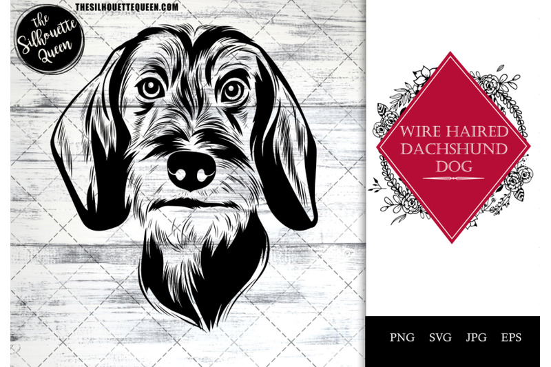 wire-haired-dachshund-dog-funny-head-vector