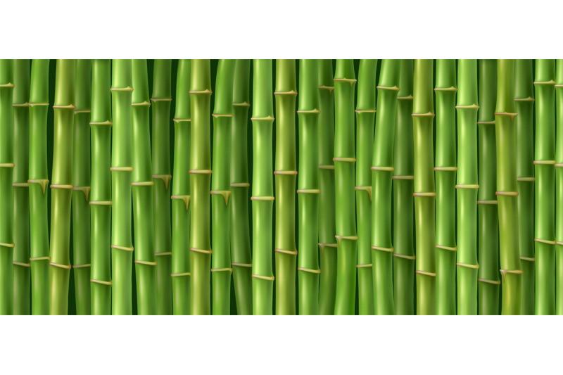 green-bamboo-texture