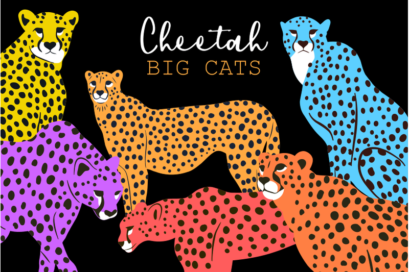 cheetah-big-cat-minimal-flat-graphic-clipart