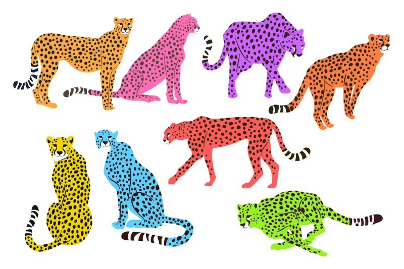 cheetah-big-cat-minimal-flat-graphic-clipart