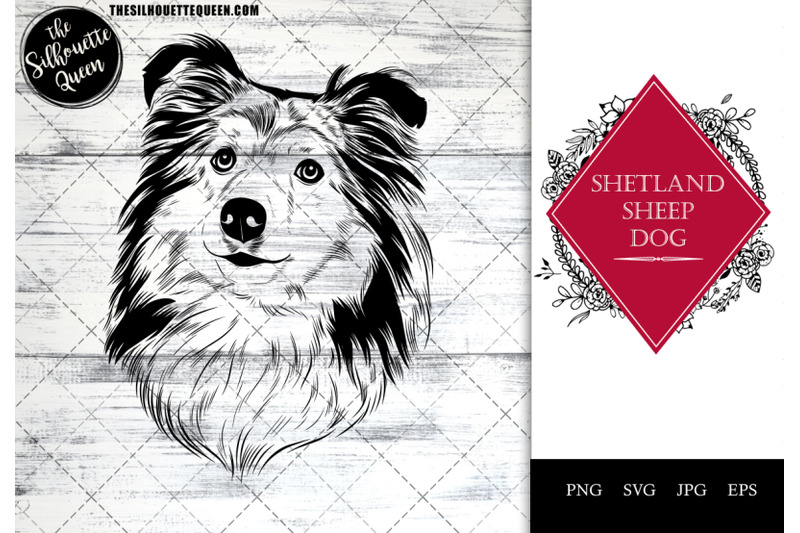 shetland-sheepdog-dog-funny-head-portrait-sketch-vector