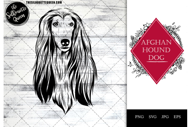 afghan-hound-dog-funny-head-portrait-sketch-vector