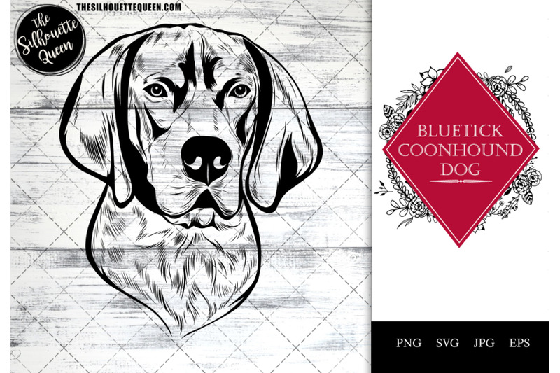 bluetick-coonhound-dog-funny-head-portrait-sketch-vector