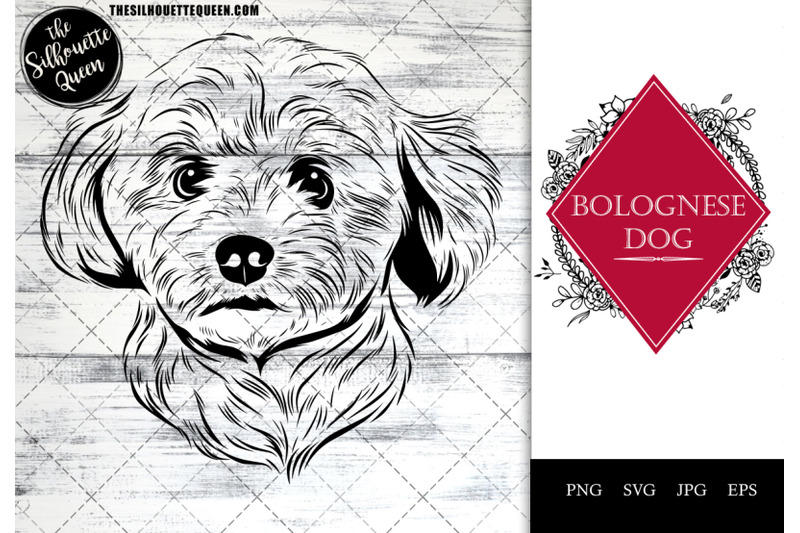 bolognese-dog-funny-head-portrait-sketch-vector