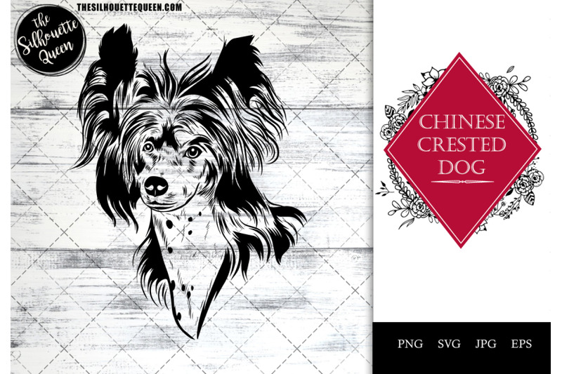 chinese-crested-dog-funny-head-portrait-sketch-vector