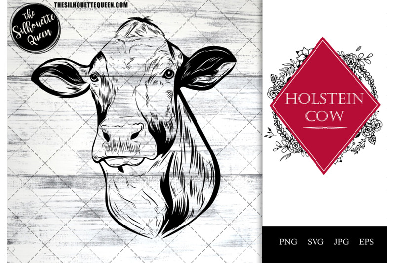 holstein-cow-funny-head-portrait-sketch-vector