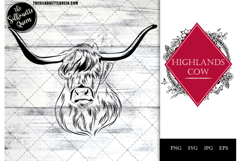 highlands-cow-funny-head-portrait-sketch-vector