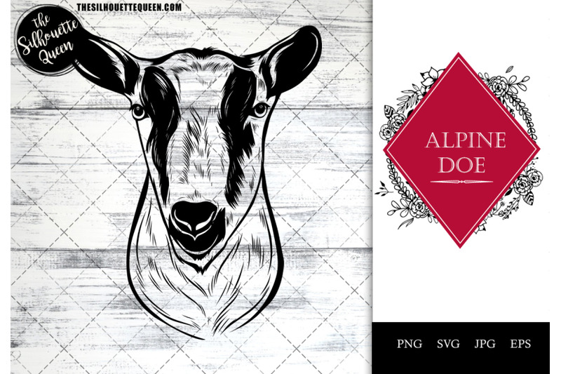 alpine-doe-goat-funny-head-portrait-sketch-vector