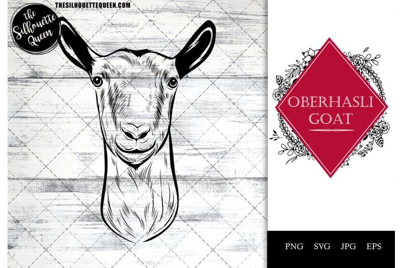 oberhasli-goat-funny-head-portrait-sketch-vector