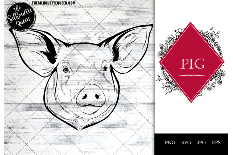 pig-funny-head-portrait-sketch-vector