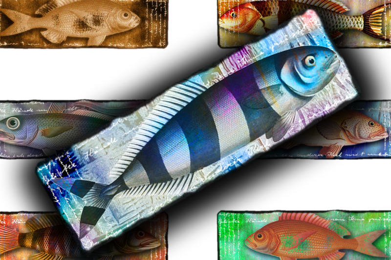 digital-collage-sheet-fanciful-fish