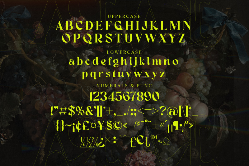 kara-typeface