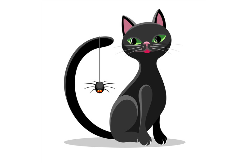 black-cat-and-spider