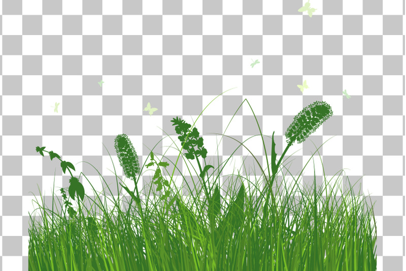 green-grass-meadow