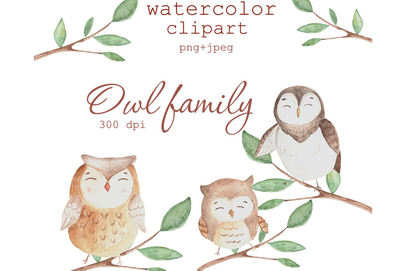 watercolor-owl-family-clipart-png