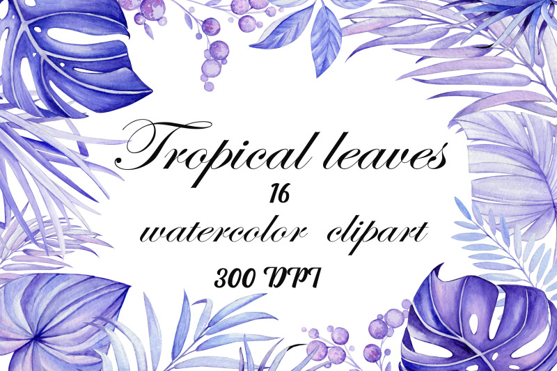 watercolor-clipart-very-peri-color-of-the-year-clip-art-tropical-lea