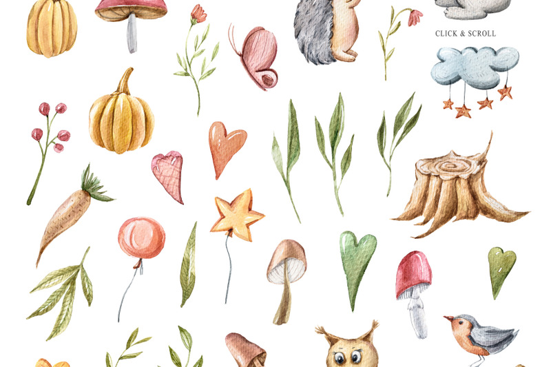 watercolor-cute-forest-animal-clipart-50-png-illustrations