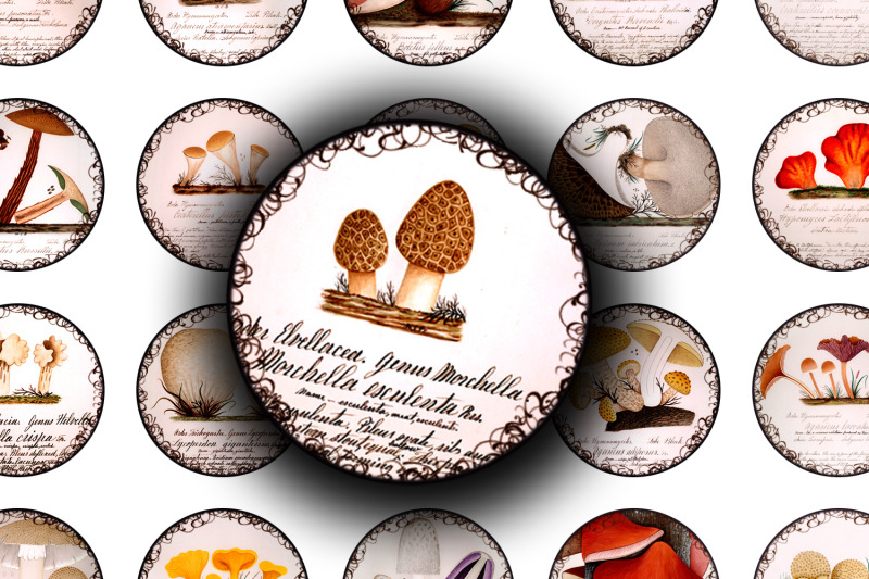 digital-collage-sheet-vintage-mycology