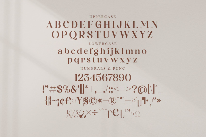 adoha-typeface