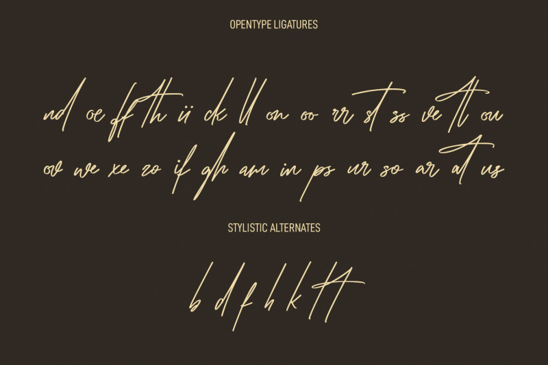 coopslight-signature-script-font