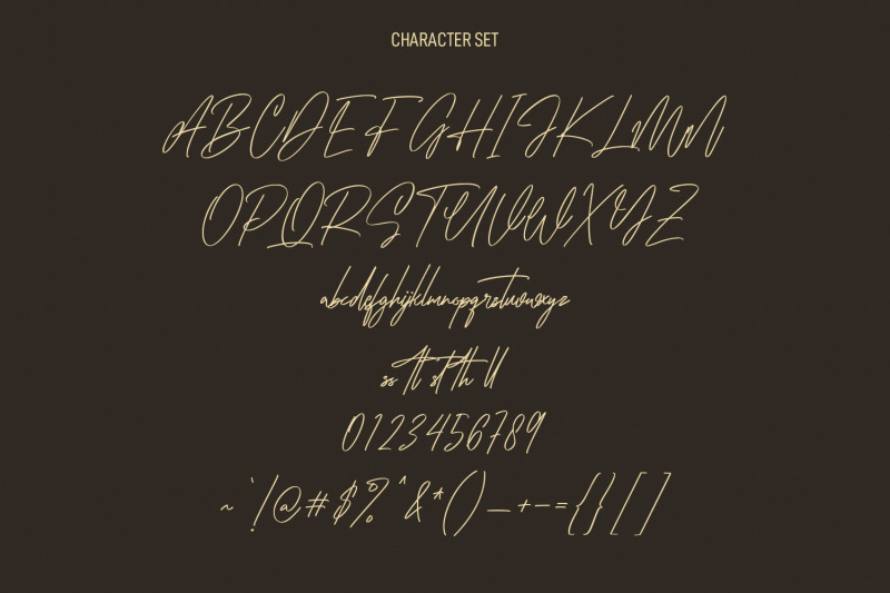 coopslight-signature-script-font