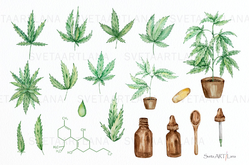 watercolor-cannabis-hemp-clipart