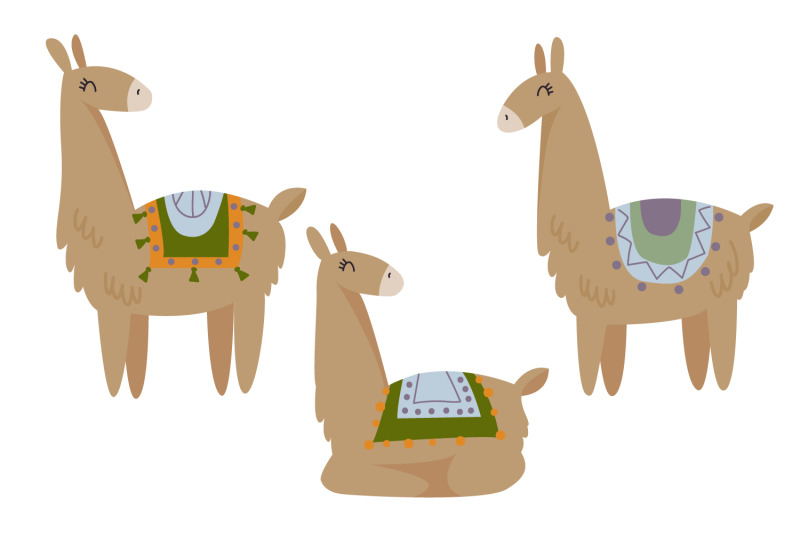 llama-clipart-llama-png-llama-print-boho-clipart-succulent-clipart