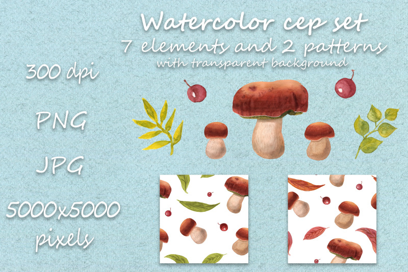 watercolor-mushroom-collection-with-berries-and-leaves