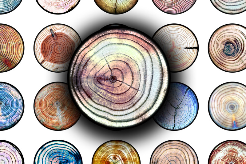 digital-collage-sheet-tree-ring