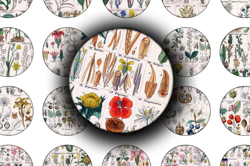 digital-collage-sheet-botanical-table