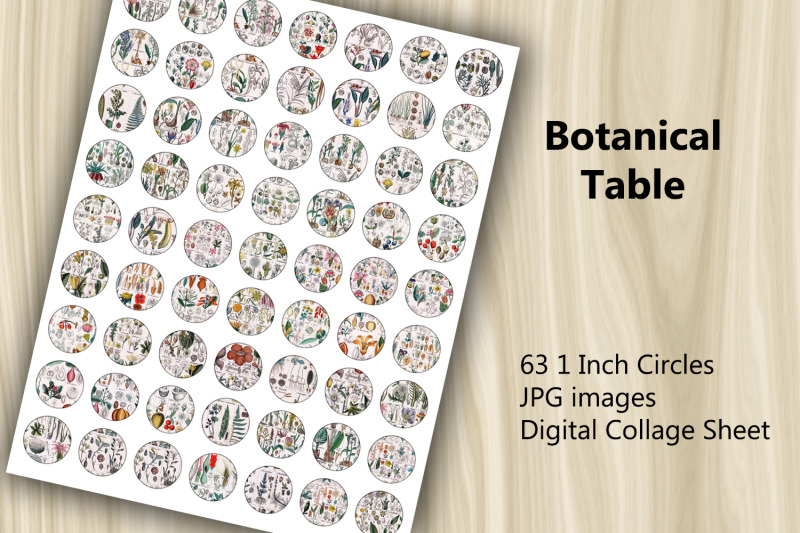 digital-collage-sheet-botanical-table