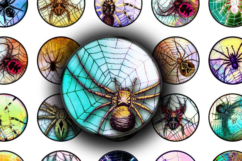 digital-collage-sheet-spiders-and-web