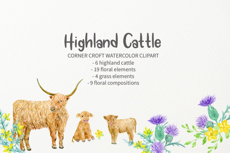 watercolour-highland-cow-clipart
