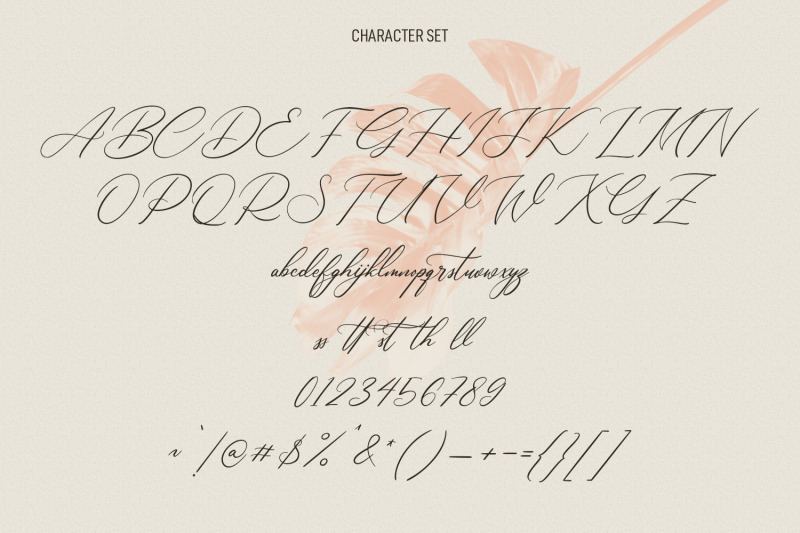 astafloria-signature-script-font