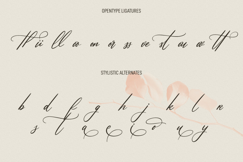 astafloria-signature-script-font