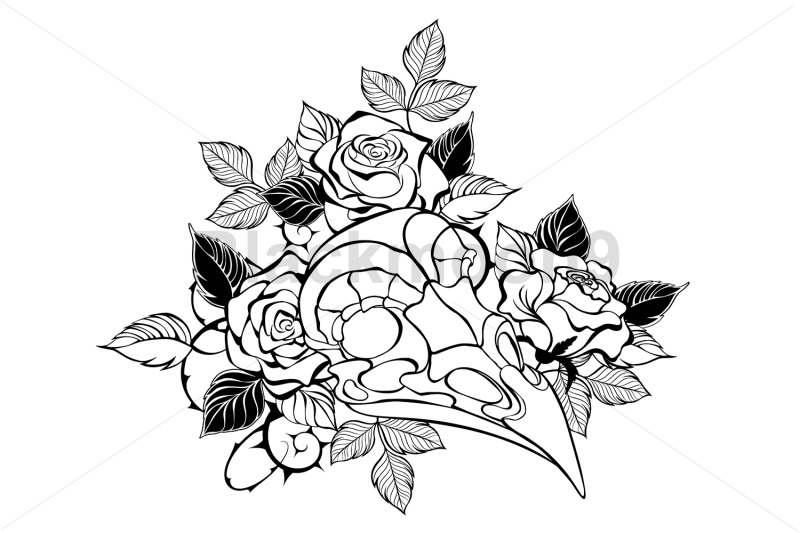 bird-skull-with-roses