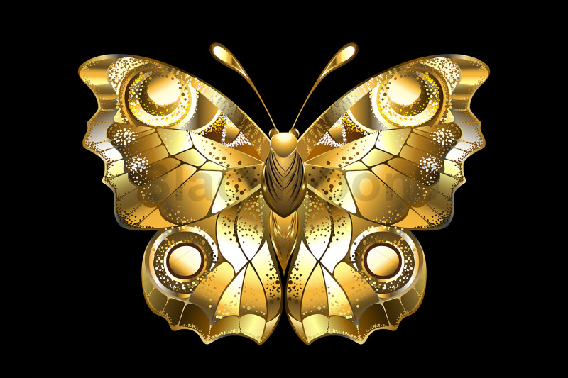 jewelry-peacock-butterfly