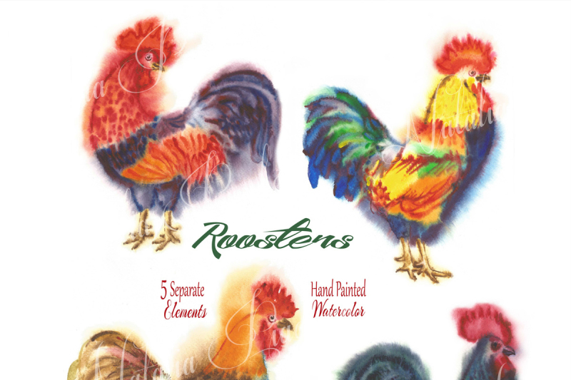 watercolor-roosters