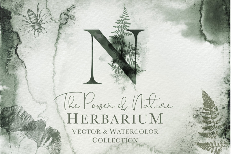 herbarium-design-set