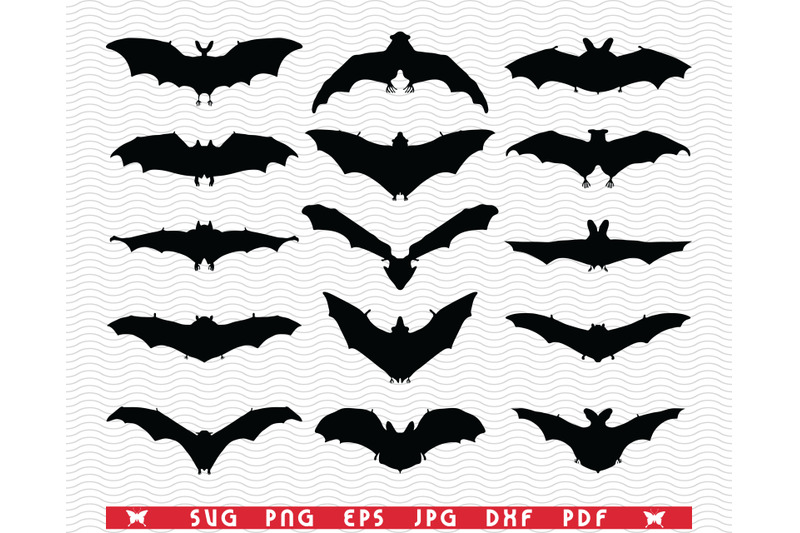 svg-bats-isolated-black-silhouettes-digital-clipart