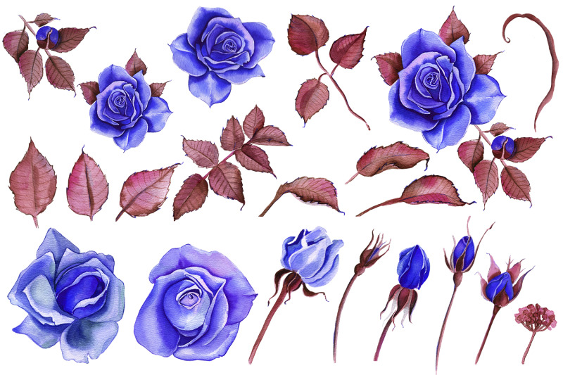 watercolor-flowers-clipart-blue-roses