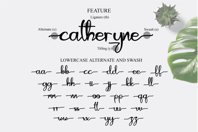 catheryne-font