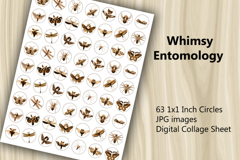 digital-collage-sheet-whimsy-entomology