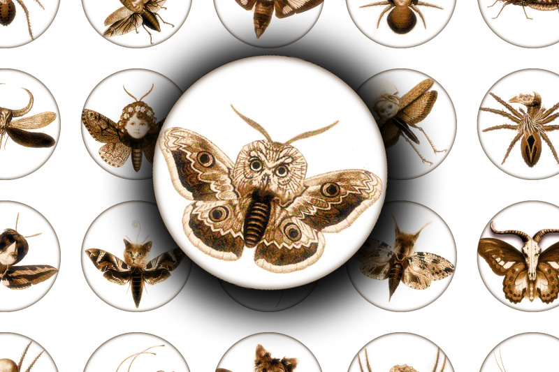 digital-collage-sheet-whimsy-entomology